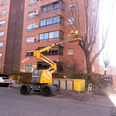 PODA DE ARBOLES COMUNIDADES