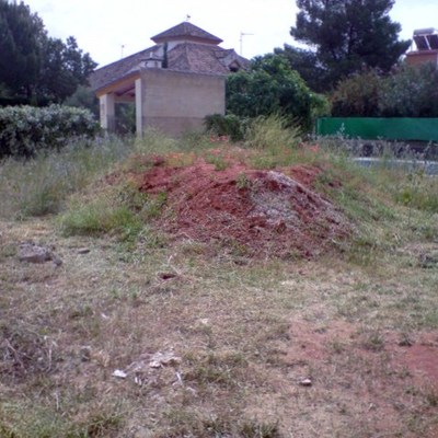 Pradera de cesped con semilla-1