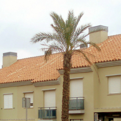 Promocion en Algeciras