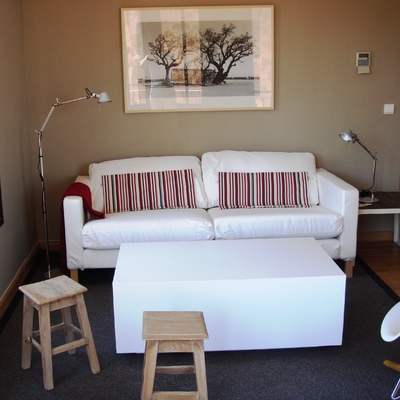 Proyecto de Decoración Integral de Apartamento