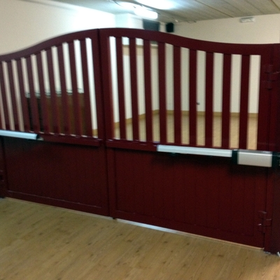 Puerta cancela de dos hojas motorizada. Irun