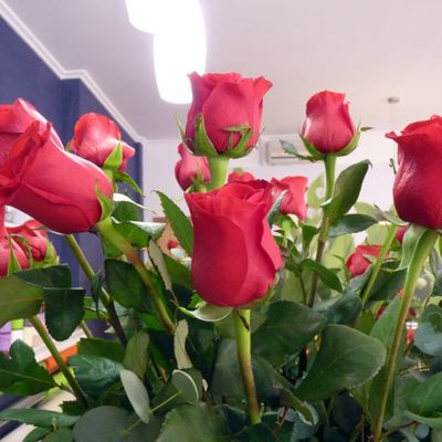 ramo de rosas