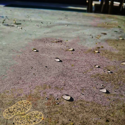 Pavimento de hormigón protegido