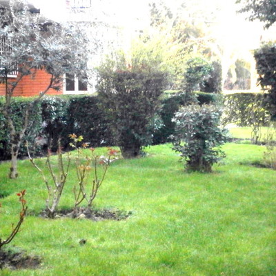 Reconstrucción y Mantenimiento