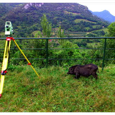 Rectificación de datos catastrales y registrales