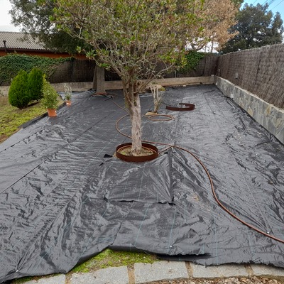 MODIFICACIÓN DE JARDINES 2