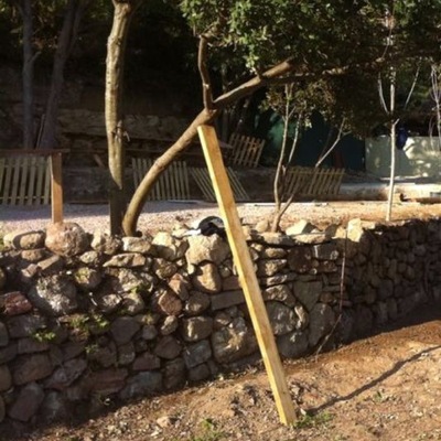 rehabilitar muro de piedras y ajardinar espacio