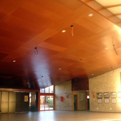 Revestimiento de techo del salón de actos