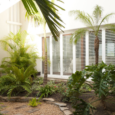 Rincón subtropical en Alicante