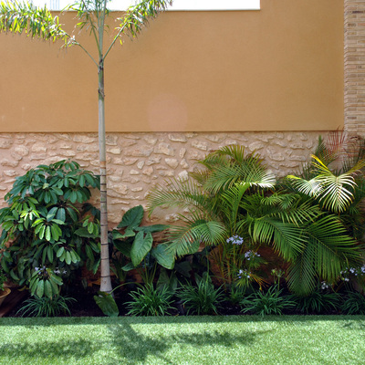 Rincón tropical en terraza