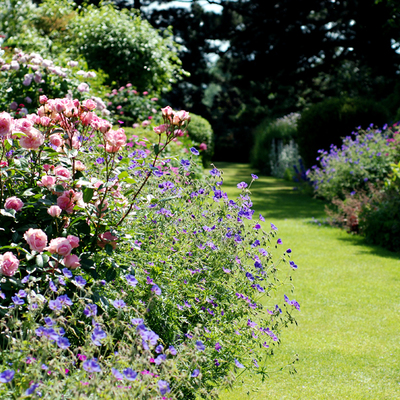 Mantenimiento jardín privado