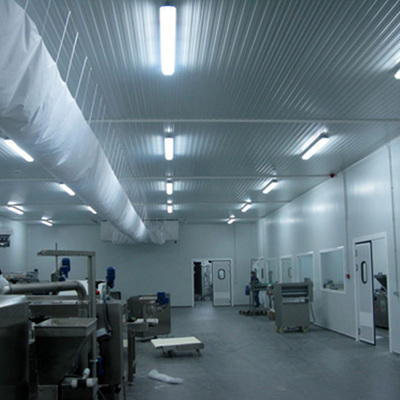 Sala blanca para envasado de productos alimentarios  