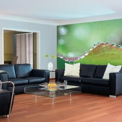 Salón con vinilo en pared