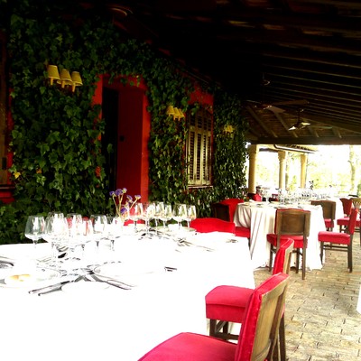 salon de las hiedras