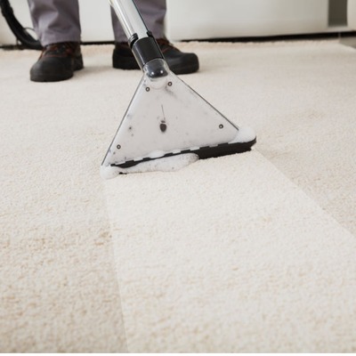 Limpieza de moquetas y alfombras