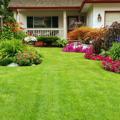 Servicios de Jardinería