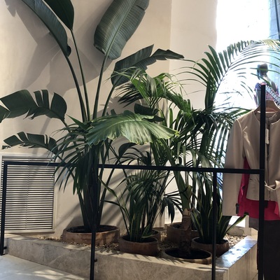 Local de moda en Barcelona