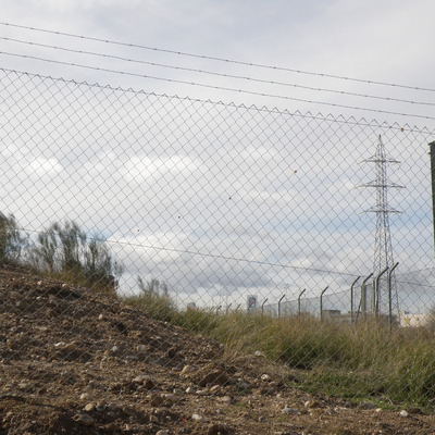 Simple torsión con espino