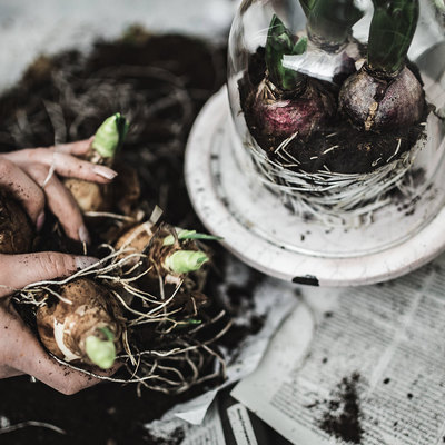 Desatascos en general en Mallorca