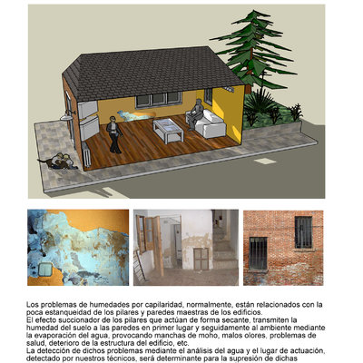 SSECO - TRATAMIENTO HUMEDADES