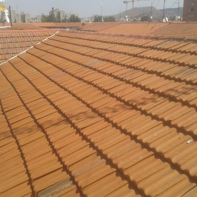 Sustitución de teja plana en tejado