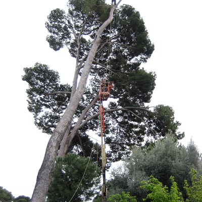 APEO COMBINADO  CON TECNICA DE TREPA Y PLATAFORMA ELEVADORA