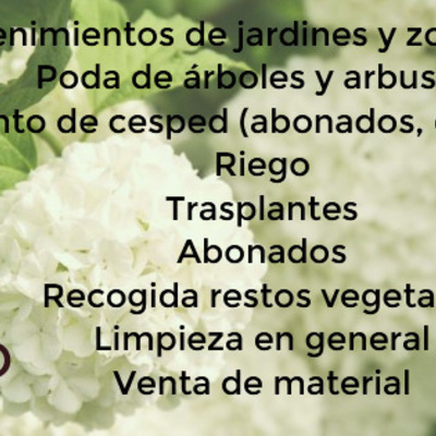 JARDINERO LOW COST