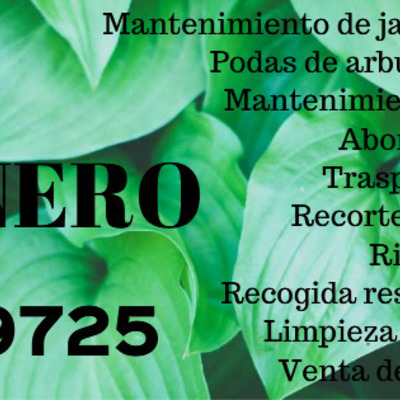 JARDINERIA BARATA Y CALIDAD