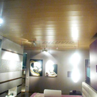 TECHOS ALUMINIO DILUVID 