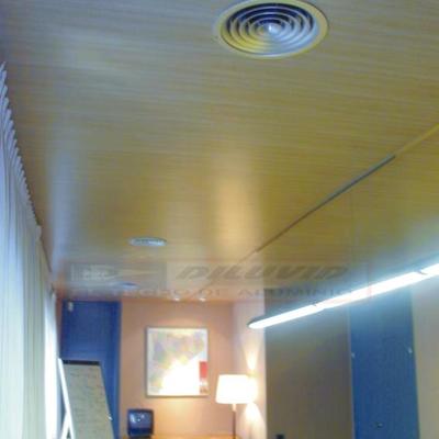 TECHOS ALUMINIO DILUVID 
