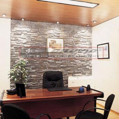 TECHOS ALUMINIO DILUVID 