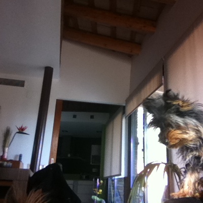 Techos antiguos vistos.