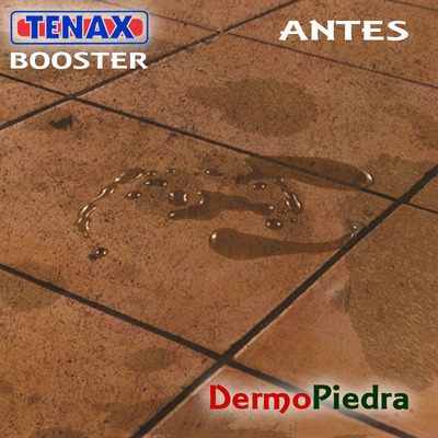 Gres Booster Limpiador alcalino quitamanchas antes