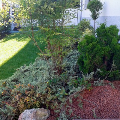 tepe recien plantado y rocalla perfecta