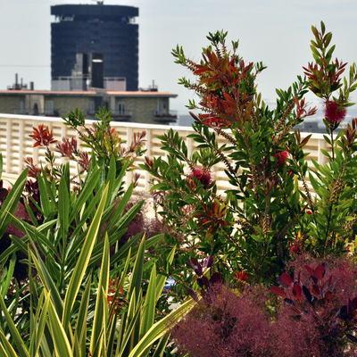 Terraza comunidad en Sant Gervasi
