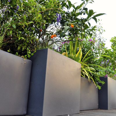 Terraza Sant Joan Despi