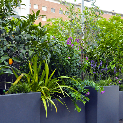 Terraza Sant Joan Despi