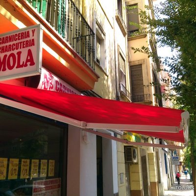 TOLDO BRAZOS EXTENSIBLES