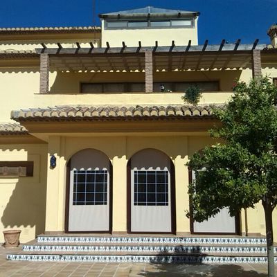 Toldo guías arriba y toldos cortavientos 