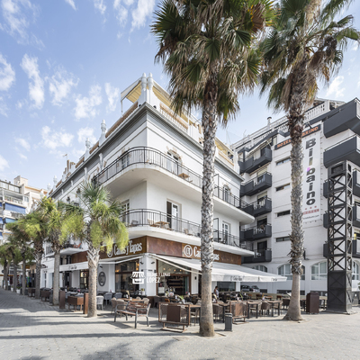 TOLDOS CAÑAS Y TAPAS