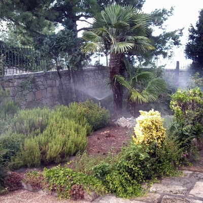 trabajos de jardineria