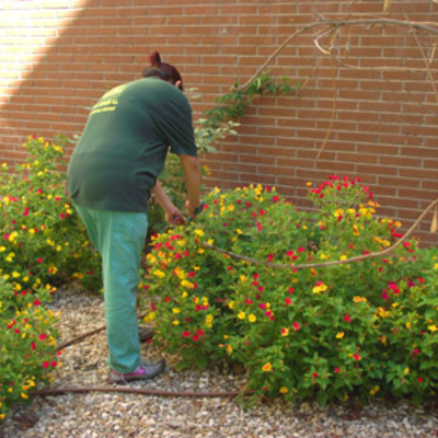 Trabajos de jardineris