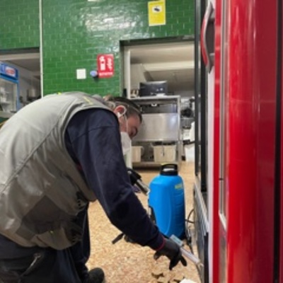 Tratamiento de cucas germanica