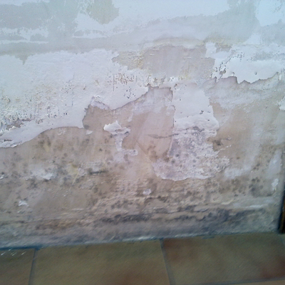 Tratamiento de humedades, mojo y hongos.