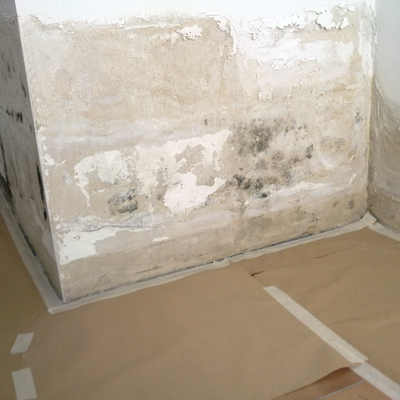 Tratamiento de humedades, mojo y hongos...
