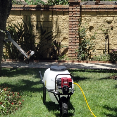 Tratamiento de la oruga procesionaria