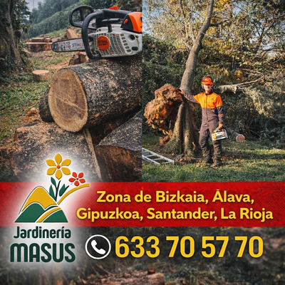 Emergencias 24horas