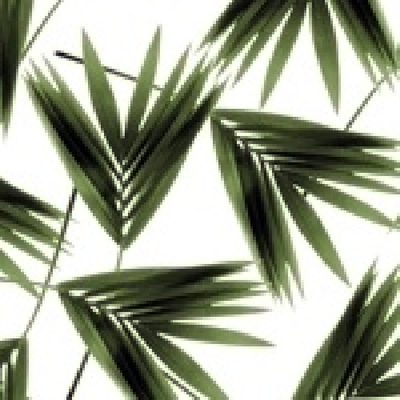 Venta de papel pintado, murales y vinilos decorativos Zarandona