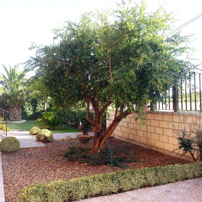 Vivienda en Marcilla, Entrada