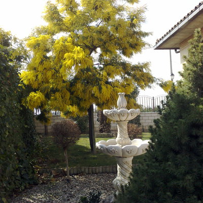 Vivienda en Marcilla, lateral